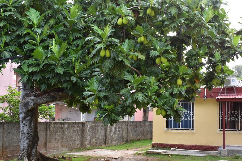 Posada James San Andrés Exterior foto